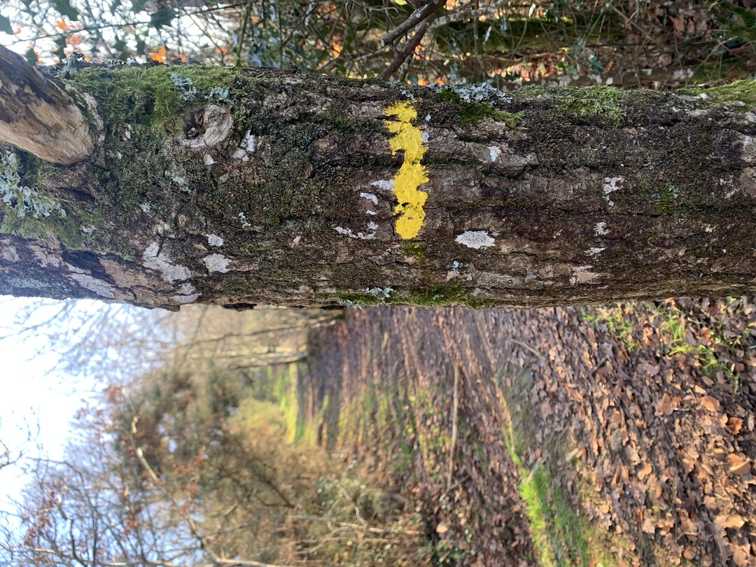 randonnée-nature-champs-muzillac-morbihan