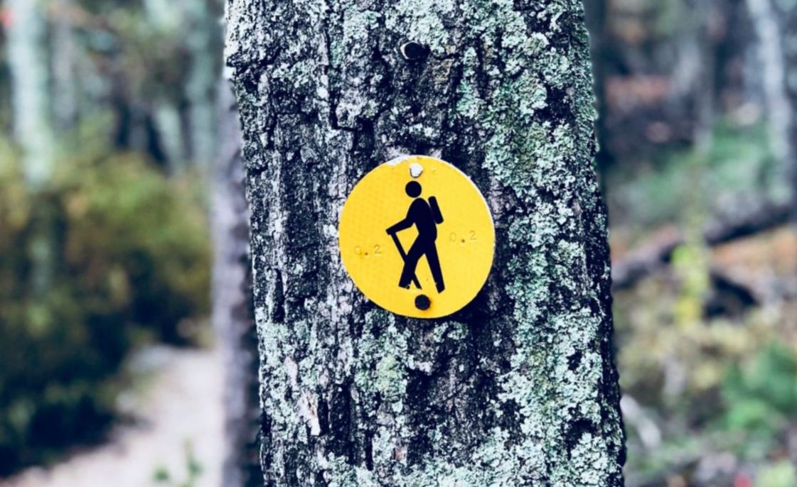 randonnée-arzal-morbihan-nature