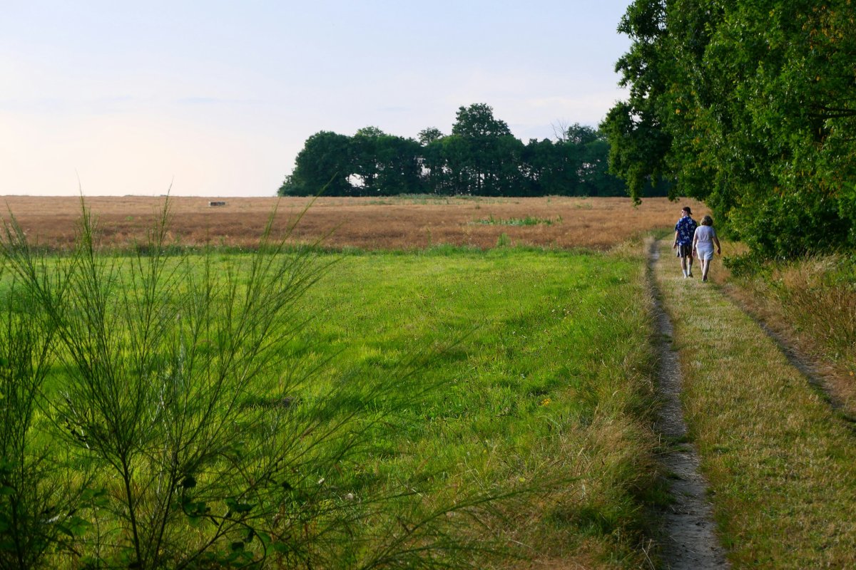 Découvrez cette randonnée à Muzillac en Bretagne. randonnée-nature-muzillac-bretagne